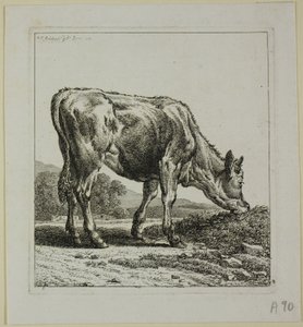 Alimentação de bezerros, de Die Zweite Thiernahme de Johann Christian Reinhart