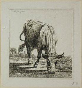 Beber Vaca, de Die Zweite Thiernahme de Johann Christian Reinhart