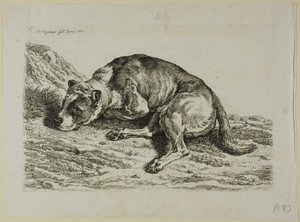 Cachorro Deitado, de A Segunda Sucessão do Ladrão de Johann Christian Reinhart
