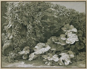 Plantas de folhas grandes junto a uma gruta rochosa coberta de hera de Johann Christian Reinhart