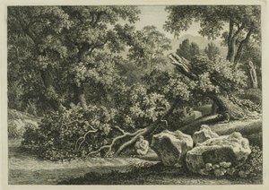 Paisagem com Pan tocando uma flauta de Johann Christian Reinhart