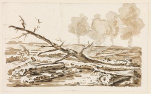 Esboço de paisagem com arvoredo no chão de Johann Christian Reinhart