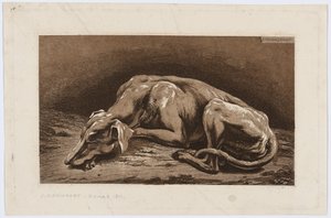 Galgo adormecido de Johann Christian Reinhart