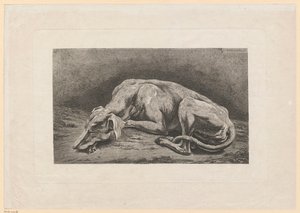 Galgo adormecido de Johann Christian Reinhart