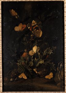 Flores com borboletas e sapo (óleo sobre madeira de carvalho) de Johann Christian Thomas Winck