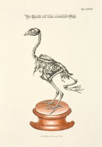  de Johann Daniel Meyer