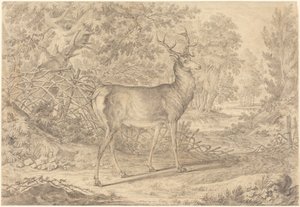  de Johann Elias Ridinger