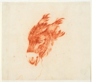 Cabeça de burro