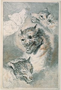 Quatro cabeças de lobo de Johann Elias Ridinger