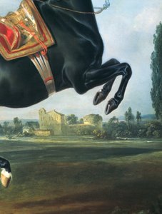 Um cavalo negro realizando o Courbette (detalhe de 65652)