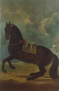 O garanhão da baía com sela espanhola