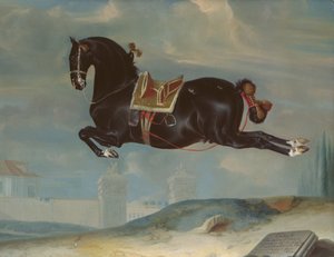 O cavalo preto &39;Curioso&39; realizando um Capriole