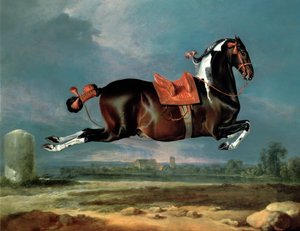 O cavalo malhado &39;Cehero&39; criação