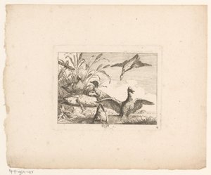 Paisagem com seis patos Pássaros em paisagens (título da série) de Johann Georg Hertel (I) (possibly)