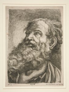Cabeça Masculina (de um Apóstolo?) de Johann Georg Hertel