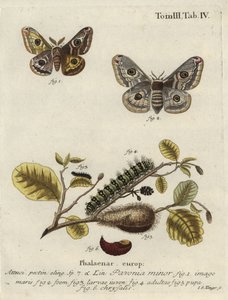 Imagem desconhecida de Johann Georg Klinger