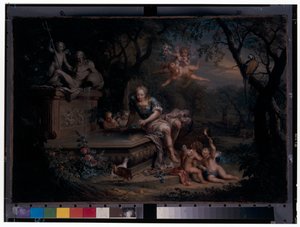 Narciso refletido num poço de Johann Georg Platzer