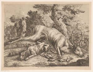 Cão de caça e cervos e aves de caça
Caça no exterior (título da série) de Johann Georg Wachsschlunger