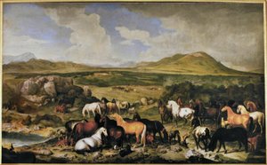 Johann Georg de Hamilton - Lippizaner de Johann Georg de Hamilton