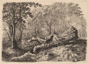 Mouldering Tree Trunk, 1794.
