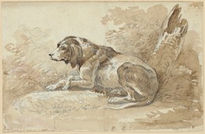 Dois estudos com cães de Johann Georg von Dillis