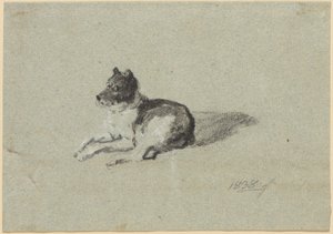 Dois estudos com cães de Johann Georg von Dillis