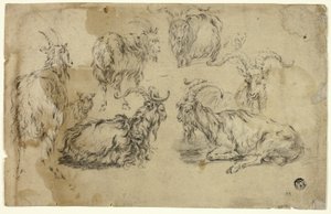 Esboços de cabras de Johann Gottlieb Hackert