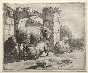 Ovelhas Perto das Ruínas de um Arco, 1665. de Johann Heinrich Roos