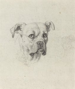 Um boxeador de Johann Heinrich Wilhelm Tischbein