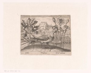 Série de Gravuras com Flores e Animais numa Paisagem
Paisagem com carvalho, faisão e crisântemos
Paisagens com animais, plantas e flores (título da série)