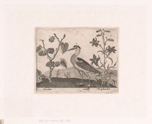 Série de gravuras com flores e animais em uma paisagem Paisagem com garça e espora Paisagens com animais, plantas e flores (título da série)