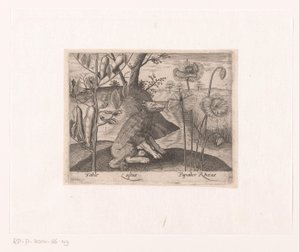 Série de gravuras com flores e animais em uma paisagem Paisagem com lobo e plantas Paisagens com animais, plantas e flores (título da série)