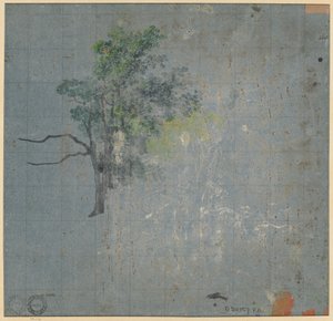 Estudos de Árvores (verso) de Johann Jacob Dorner