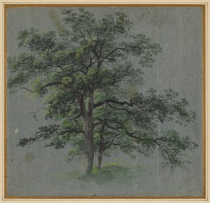 Duas Árvores (reto) de Johann Jacob Dorner