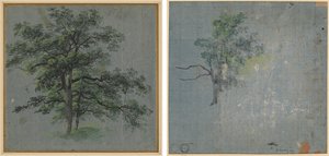 Duas Árvores (reto) Estudos de Árvores (verso) de Johann Jacob Dorner