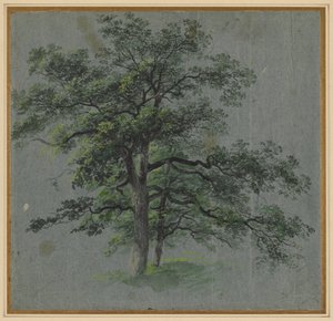 Duas Árvores, primeira metade de 1800. de Johann Jacob Dorner