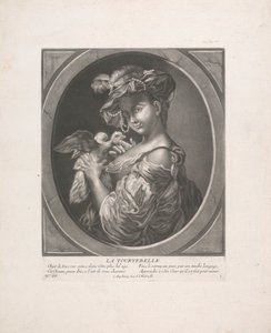 A Pomba Tartaruga de Johann Jacobus Haid