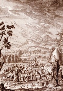 Hebreus combatendo uma praga de gafanhotos de Johann Jakob Scheuchzer