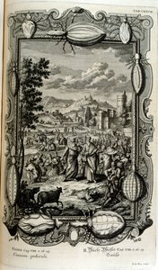 Praga de piolhos e mosquitos de Johann Jakob Scheuchzer