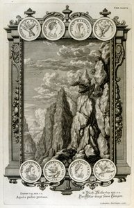 Zeus simbolizado como uma águia