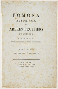 Página de título de &39;Pomona Austriaca, ou árvores frutíferas da Áustria&39;, 1787-96 (impressão) de Johann Kraft