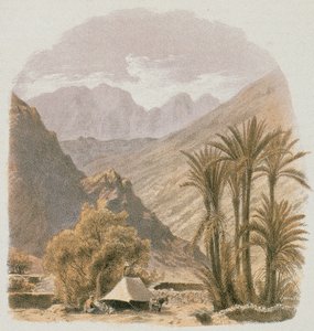 Sinai. Etching by Bernatz et alii - Steinkopk J.F. Editore de Johann Martin Bernatz