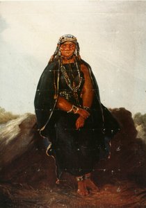 Espanhol:  La araucana de Johann Moritz Rugendas