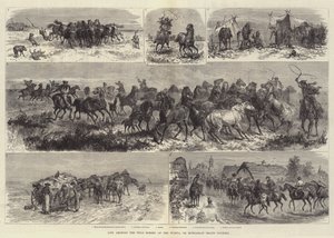 Vida entre os cavalos selvagens do Puszta, ou Heath Contry húngaro