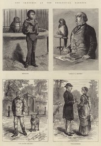 Esboços estranhos nos jardins zoológicos de Johann Nepomuk Schonberg
