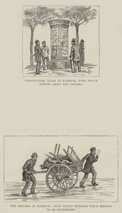 O cólera em Hamburgo de Johann Nepomuk Schonberg