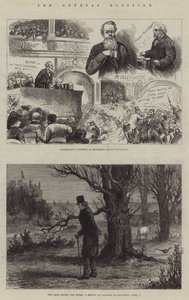 A eleição geral de Johann Nepomuk Schonberg