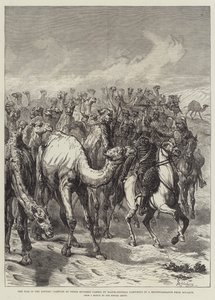 A guerra no Sudão, captura de trezentos camelos pelo major-general Sartorius em um reconhecimento de Souakim
