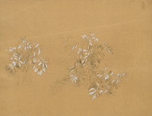 Arbustos de Johann Peter Krafft