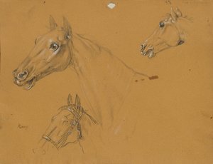 Estudo do cavalo no "Archduke Karl com o seu pessoal na Batalha de Aspern". de Johann Peter Krafft
